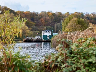Ruhrtal, Ruhrgebiet Herbstliche Szenerie am ruhigen Flussufer, mit einer Fähre im Hintergrund, umgeben von Bäumen.
