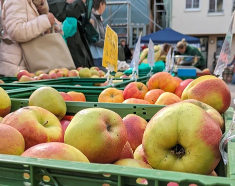 Kisten mit frischen Äpfeln beim Abendmarkt in Vlotho, Besucher im Hintergrund beim Einkaufen.