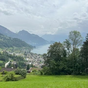 Aussicht Rigiblick.jpg