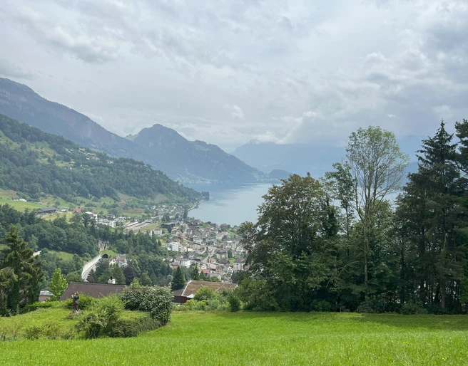 Aussicht Rigiblick.jpg