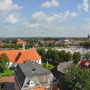 rathausdach-1
