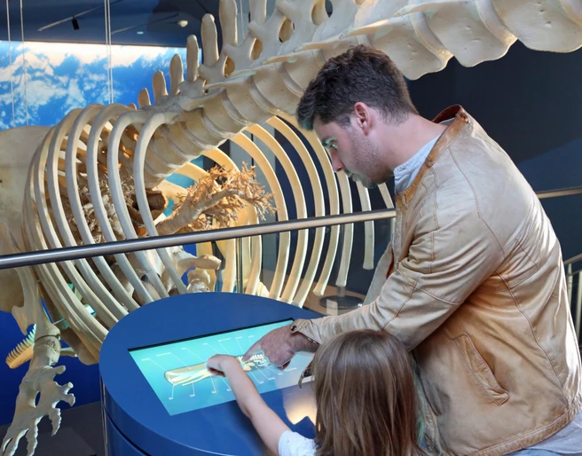 Wattenmeer Besucherzentrum-Björn Lübbe.JPG