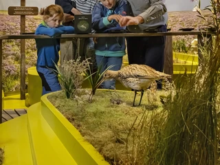 Wattenmeer Besucherzentrum Andreas Keller.jpg