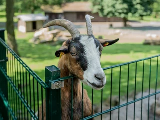 Wildpark Knüll