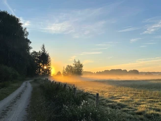 Sonnenaufgang in der Hammeniederung