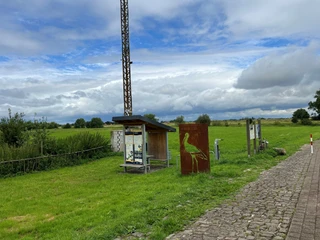 Rastplatz Windheim  Rastplatz mit überdachtem Infostand und einer stilisierten Kranichskulptur, umgeben von grünen Wiesen.