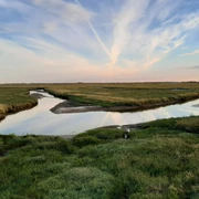 Salzwiesen St. Peter-Ording