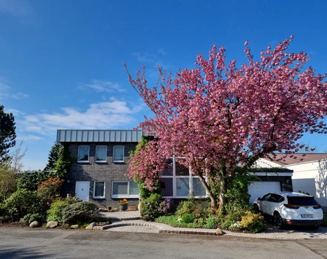 Die Villa Mettmann  Zweistöckiges Wohnhaus mit Backsteinfassade, umgeben von blühendem Kirschbaum unter strahlend blauem Himmel.