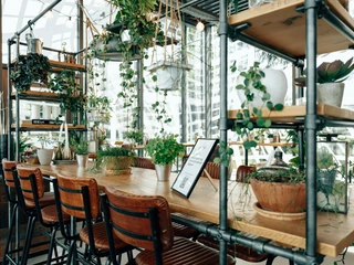 Sticky Fingers Innen.jpg Sticky Fingers Innenaustattung mit vielen PflanzenSticky Fingers interior design with lots of plants