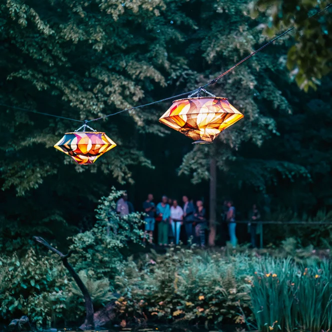 2025-color-floating-17-ernesto-uhlmann-denoiseai-low-light.jpg