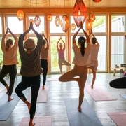 Yoga in der Seelodge Baum