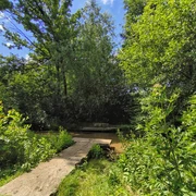 Krollbach-Bifurkation Hövelhof Ein schmaler Steg aus Betonplatten führt über einen kleinen Bach, umgeben von dichter Vegetation.