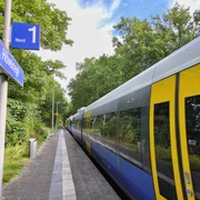 Bahnhof Hövelriege  Ein Zug hält am grünen Bahnhof Hövelriege, umgeben von dichten, sommerlichen Bäumen.