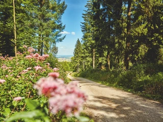 Überschrift Überschrift