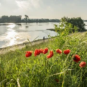Dyke on the Elbe in Stove Deich an der Elbe in StoveDyke on the Elbe in StoveDigue sur l'Elbe à StoveDijk aan de Elbe in StoveDige på Elben i Stove