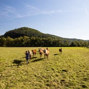 Air Hotel Freund_549 .jpg