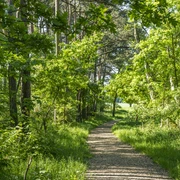 Stelle archaeological trail Archäologiepfad StelleStelle archaeological trailSentier archéologique de StelleArcheologisch pad StelleStelle arkæologisk spor