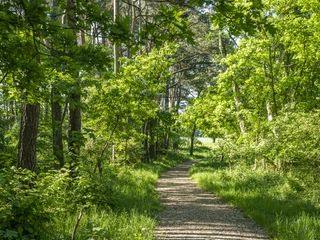Stelle arkæologisk spor Archäologiepfad StelleStelle archaeological trailSentier archéologique de StelleArcheologisch pad StelleStelle arkæologisk spor