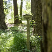Buchwedel forest nature trail Waldlehrpfad BuchwedelBuchwedel forest nature trailSentier forestier éducatif BuchwedelBuchwedel bos natuurpadBuchwedel skov natursti