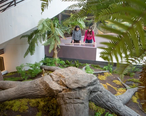 Museum am Schölerberg