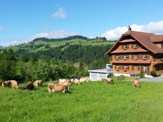 Hof Schintbühl