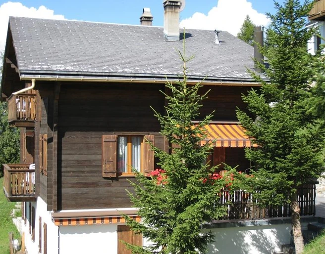 Aussenansicht Sommer