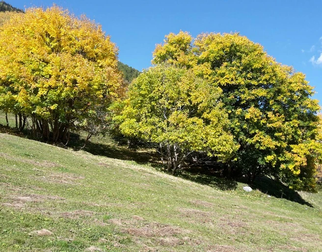 Herbst Impressionen