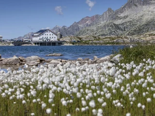 _B178763_by.davidbirri