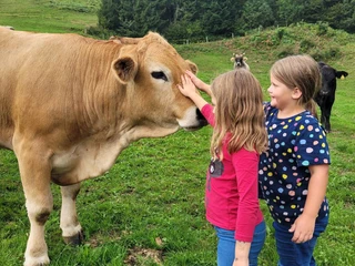 Tierische Begegnungen