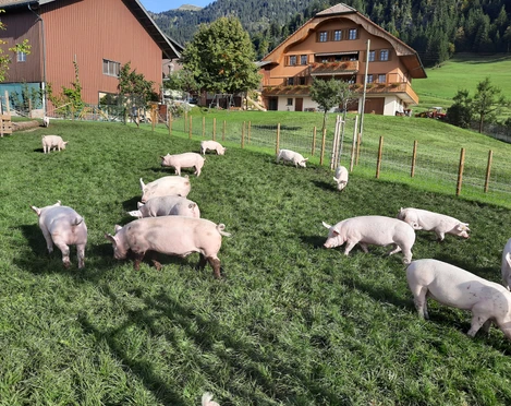 Der Hof Eygrat