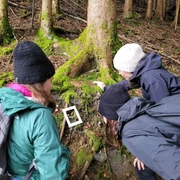Die Natur entdecken