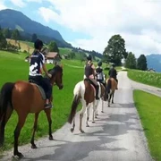 Ausritt mit den Pferden