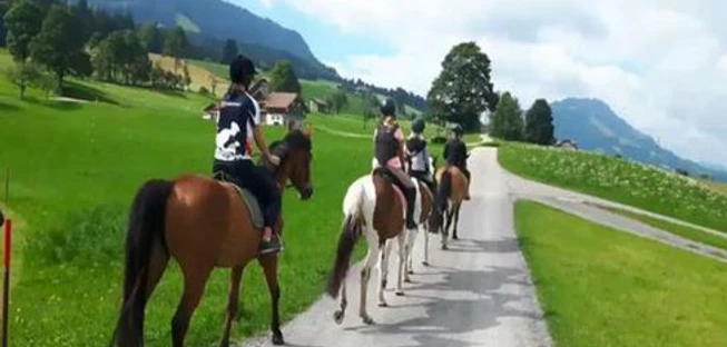 Ausritt mit den Pferden