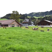 Blick auf den Hof Oberlindebüel