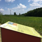 Stele vom Böckstiegel-Pfad  Ein Aussichtspunkt mit Infotafel über saftige Wiesen und Wälder unter einem blauen Himmel mit Wolken.