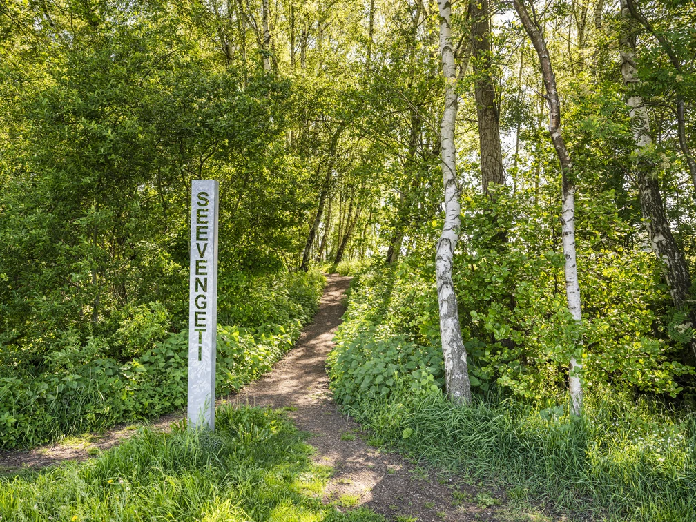 Seevengeti Seevengeti