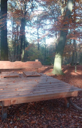 Walderlebnispfad Zweidorfer Holz