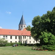 Kaiserdom und Kaiser-Lothar-Linde