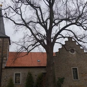 St. Johannes-Baptista Saalsdorf