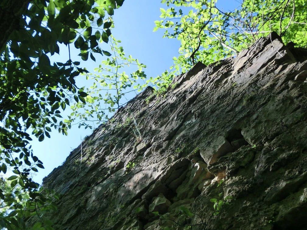 Burgruine Langeleben