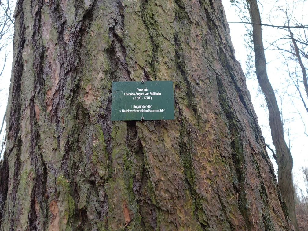 Platz des Friedrich August von Veltheim