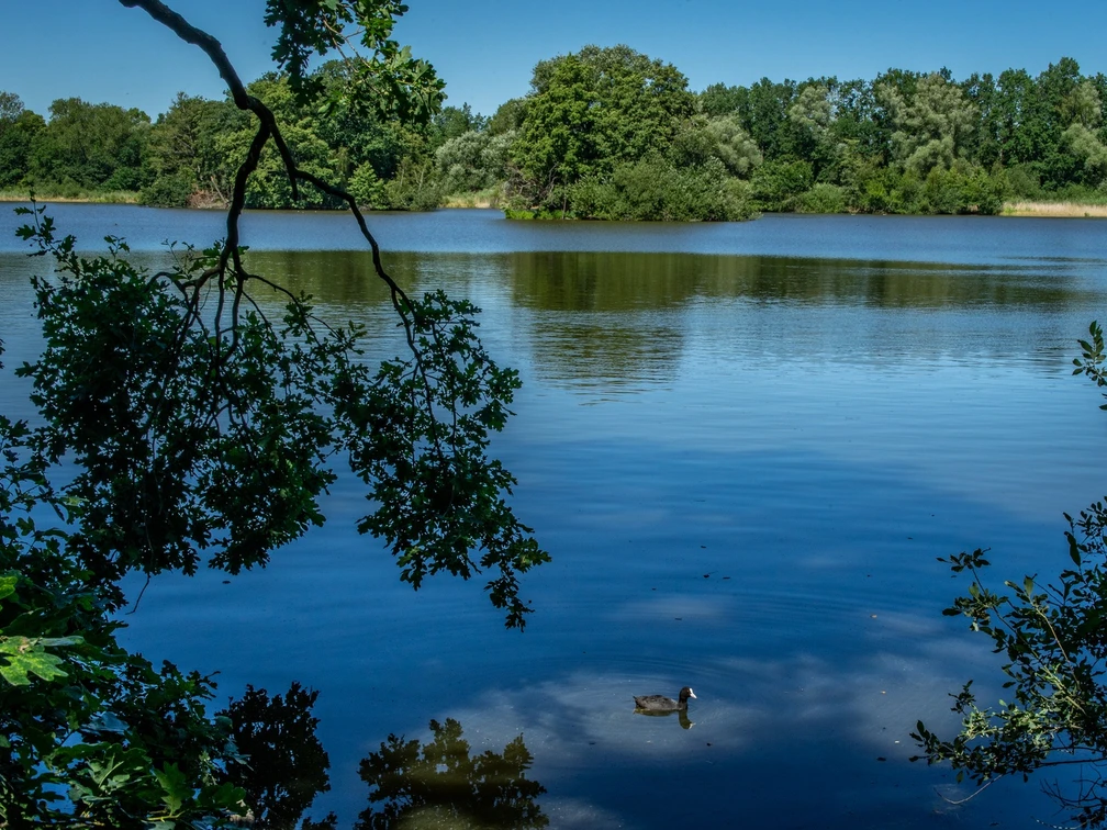 Kreuzteich