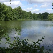 Mittelteich