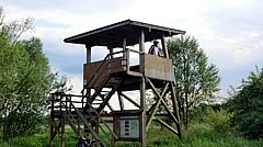 Aussichtsturm Uhraumündung
