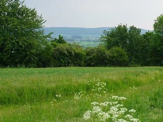 Blick zum Elm
