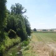 Die Aller am Försterhof