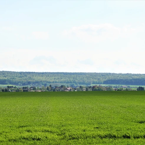 Blick über Wolsdorf zum Elm