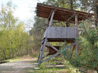 Beobachtungsplattform Velpker Schweiz