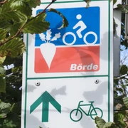 Auf dem Börde-Radweg
