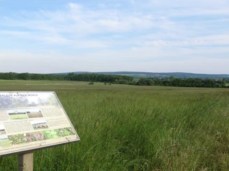 Landschaftsschutzgebiet Schandelaher Wohld